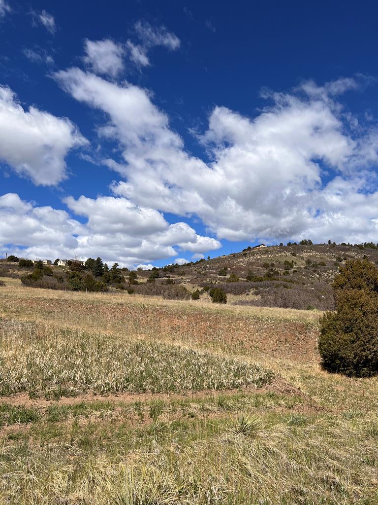 5960 Boulder Drive Rye, CO 81069 - Photo 3 of 9
