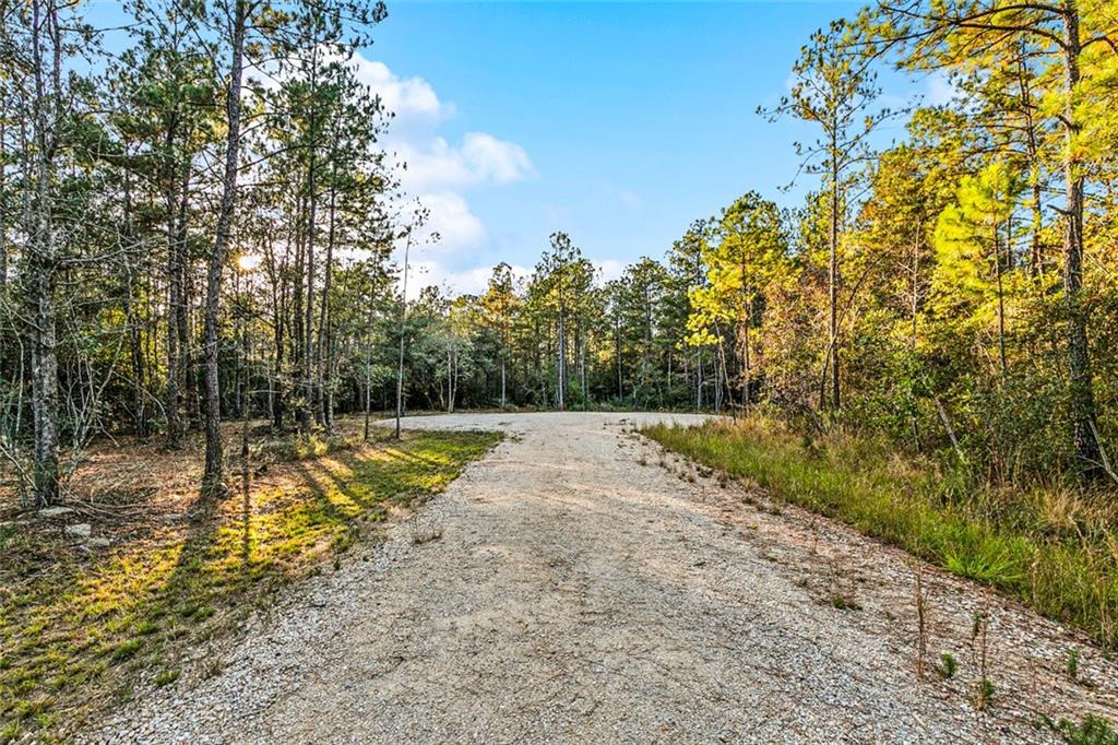 18321 Amore Way Covington, LA 70433 - Photo 3 of 6