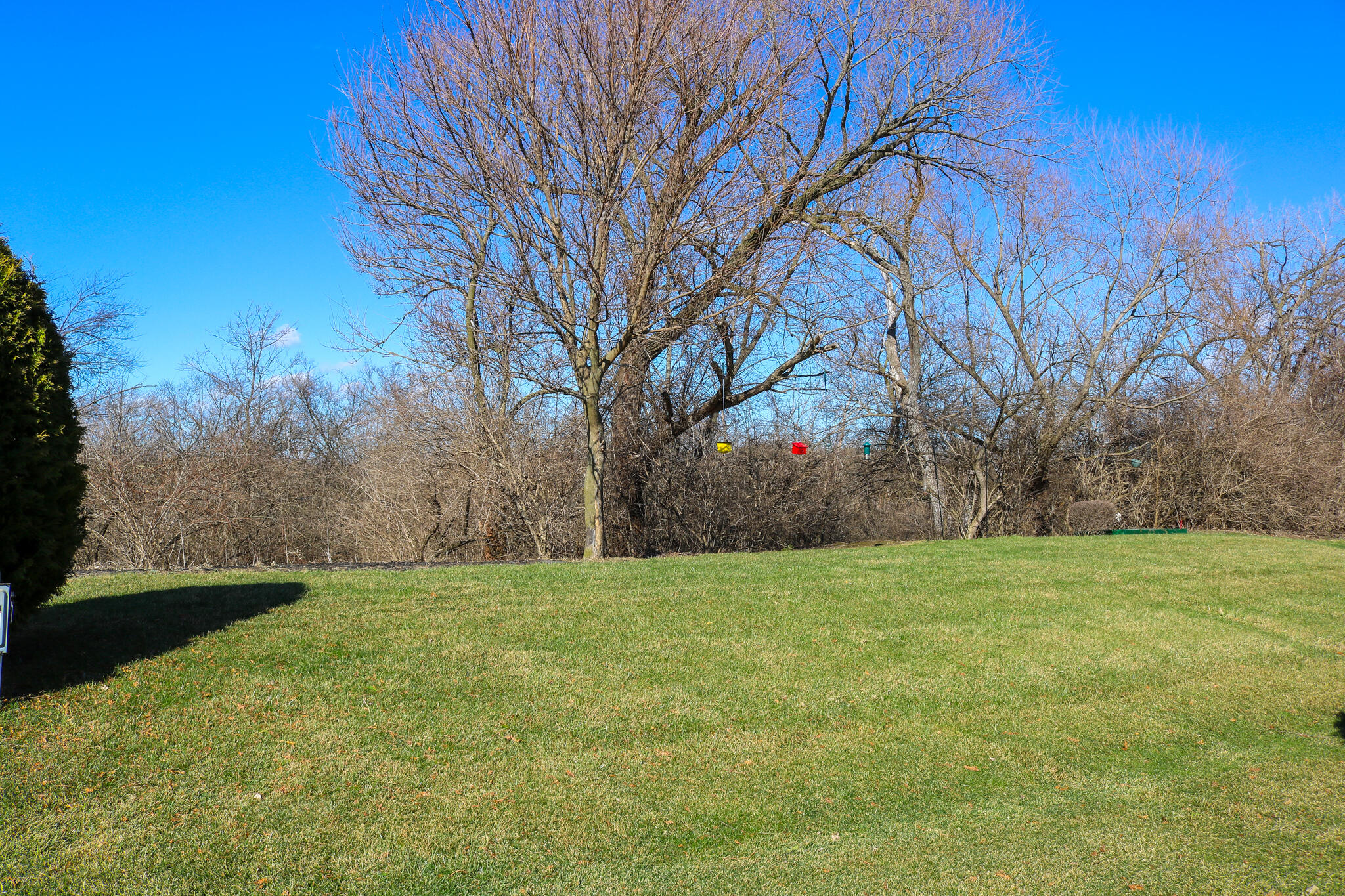 802 Veterans Lane Crown Point, IN 46307 - Photo 3 of 6 2048x1365