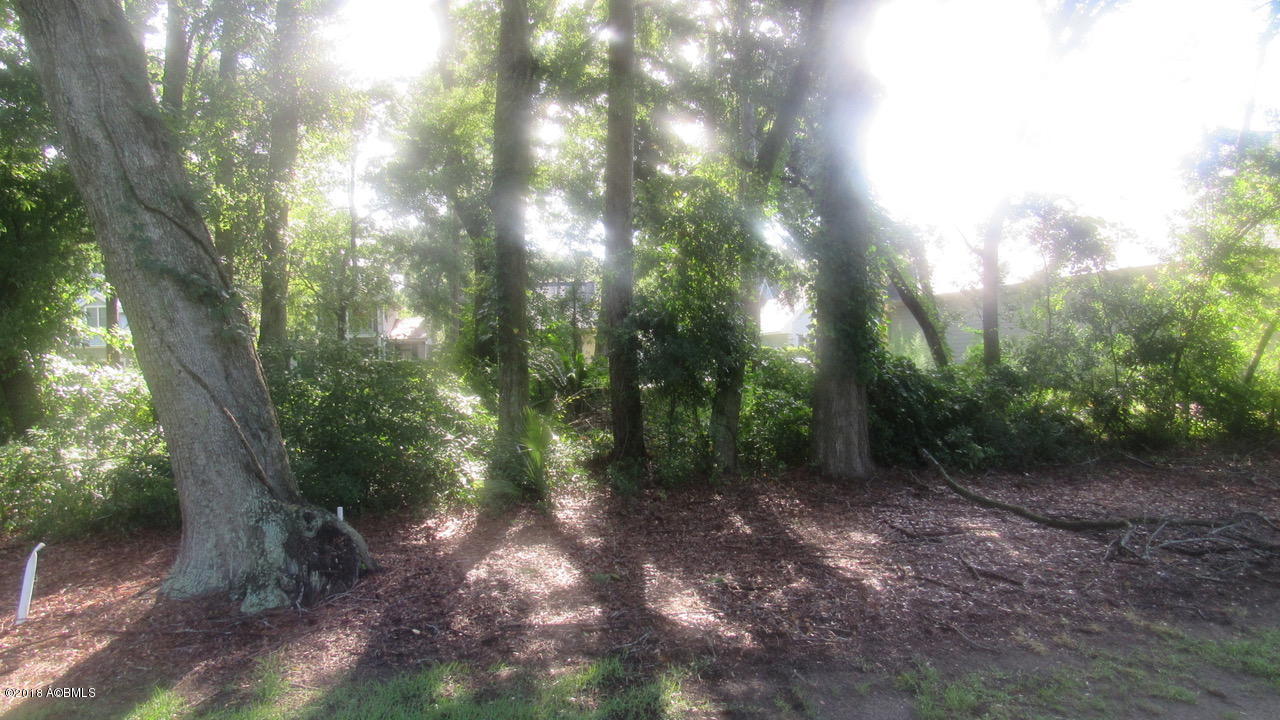158 Locust Fence Road St. Helena Island, SC 29920 - Photo 6 of 26 IMG_6031