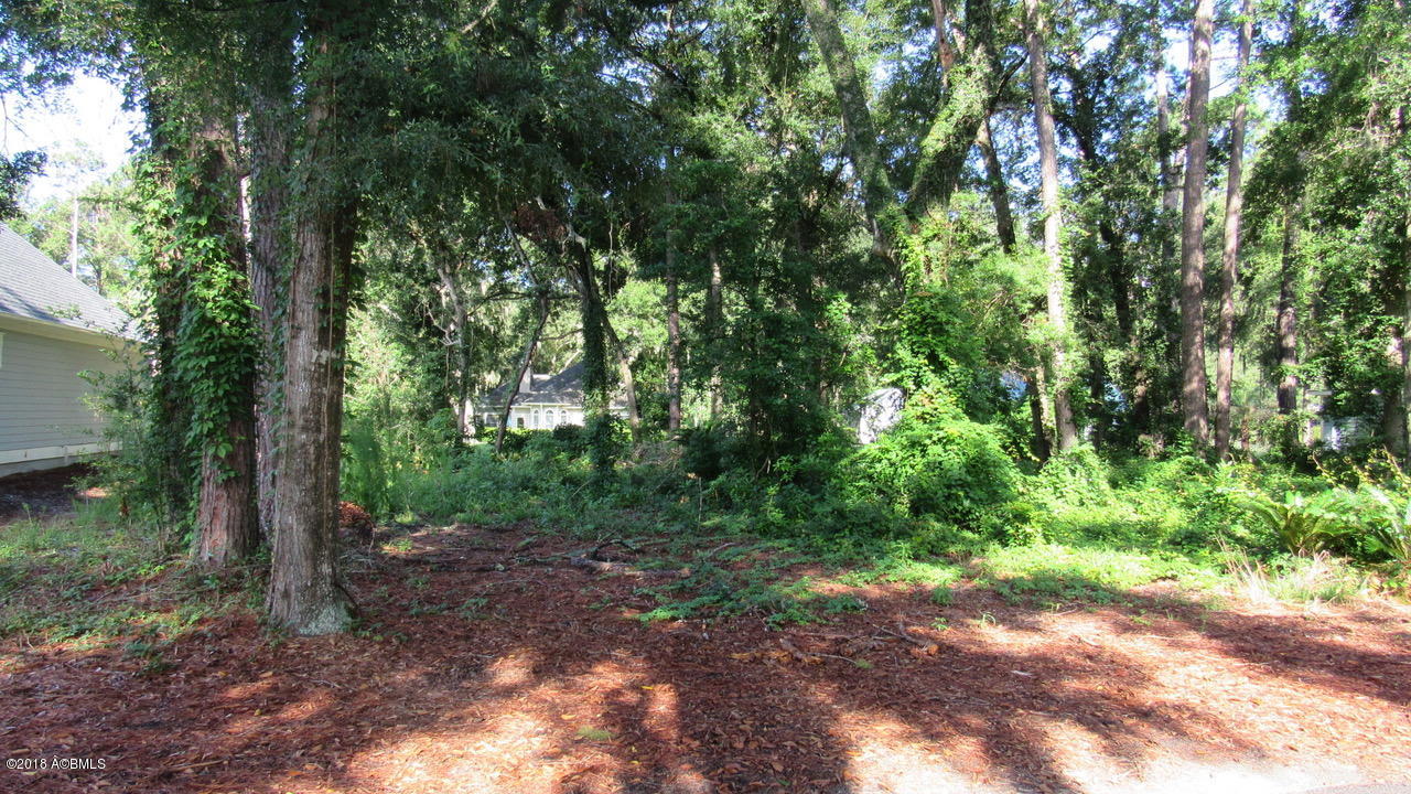 158 Locust Fence Road St. Helena Island, SC 29920 - Photo 9 of 26 IMG_6034