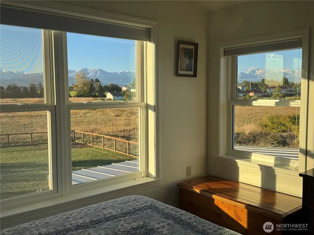 a view of a large tree with a house in background