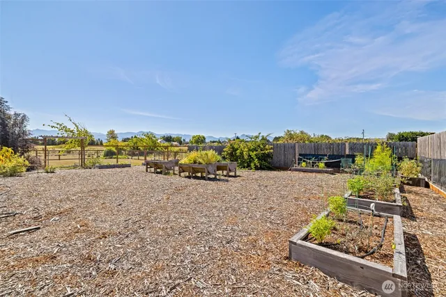 a view of a garden with a building in the background