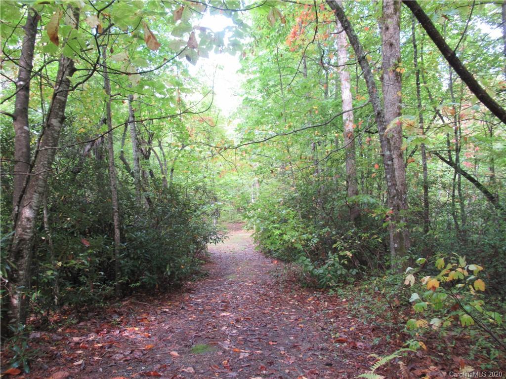 Off Ben Nevis Road, Unit 15&16 Brevard, NC 28712 - Photo 1 of 18 Gallery Image 1