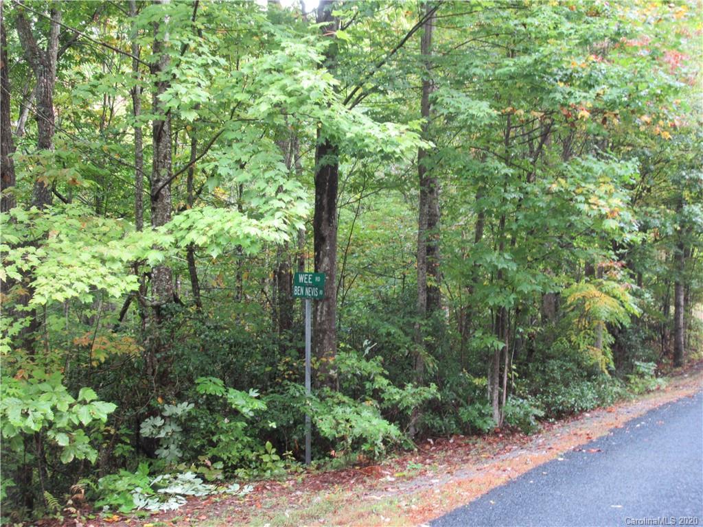 Off Ben Nevis Road, Unit 15&16 Brevard, NC 28712 - Photo 2 of 18 Gallery Image 2