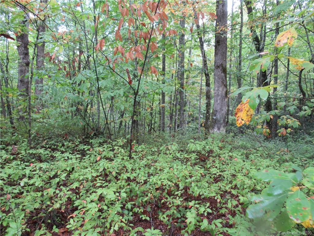 Off Ben Nevis Road, Unit 15&16 Brevard, NC 28712 - Photo 13 of 18 Gallery Image 13