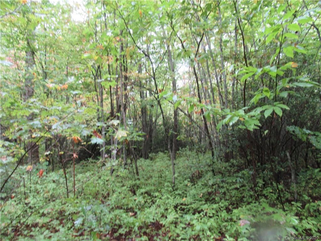 Off Ben Nevis Road, Unit 15&16 Brevard, NC 28712 - Photo 14 of 18 Gallery Image 14