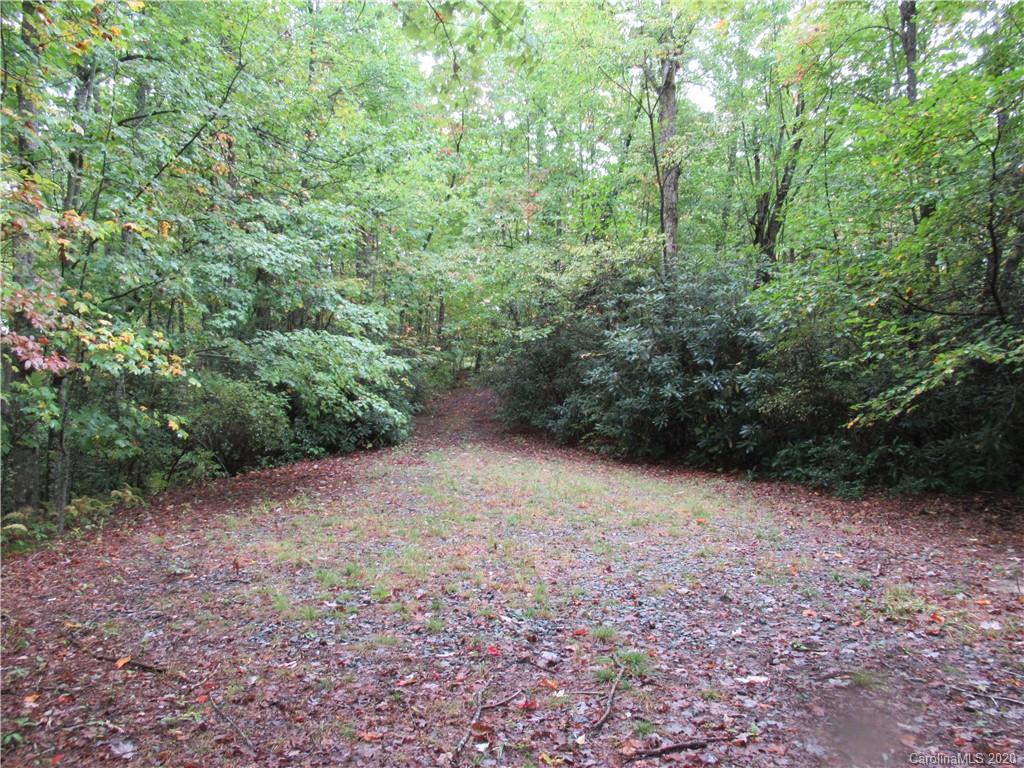 Off Ben Nevis Road, Unit 15&16 Brevard, NC 28712 - Photo 15 of 18 Gallery Image 15