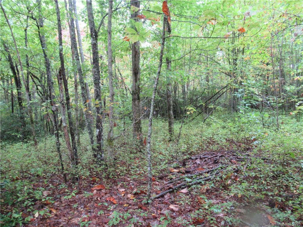 Off Ben Nevis Road, Unit 15&16 Brevard, NC 28712 - Photo 3 of 18 Gallery Image 3