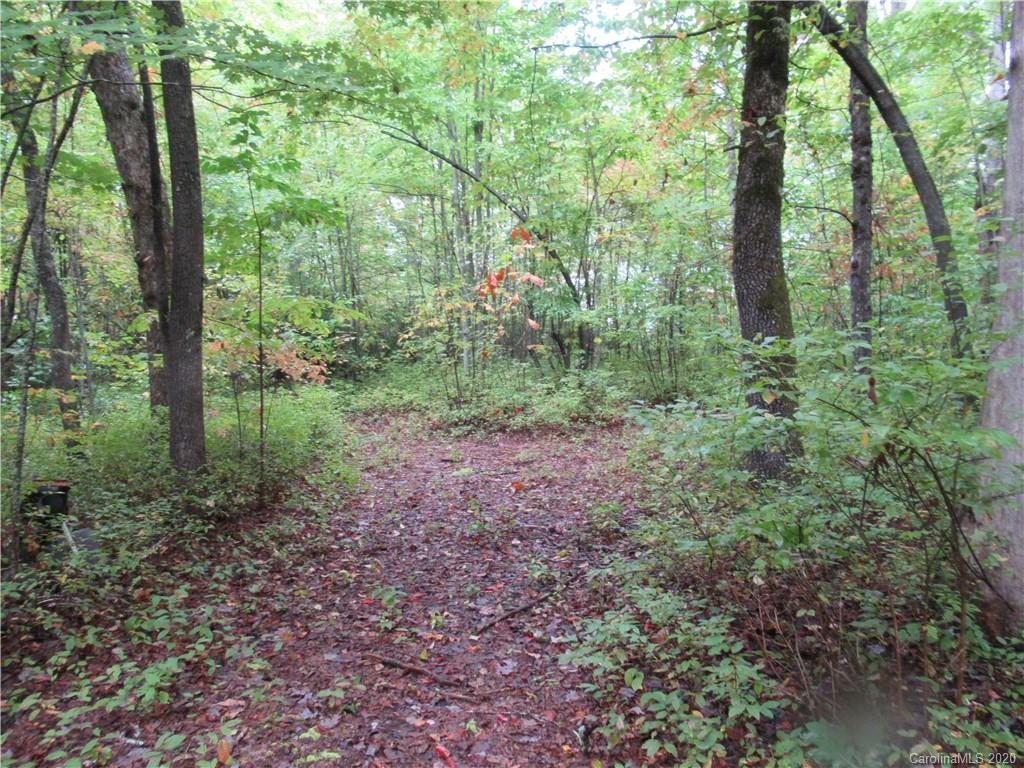 Off Ben Nevis Road, Unit 15&16 Brevard, NC 28712 - Photo 4 of 18 Gallery Image 4