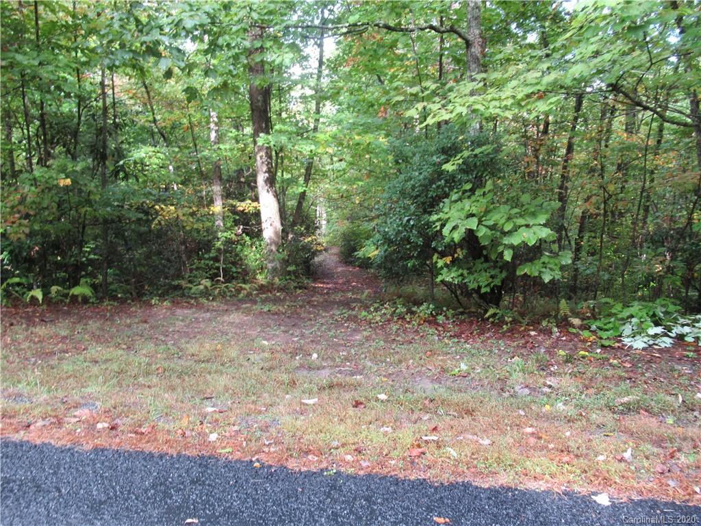 Off Ben Nevis Road, Unit 15&16 Brevard, NC 28712 - Photo 6 of 18 Gallery Image 6