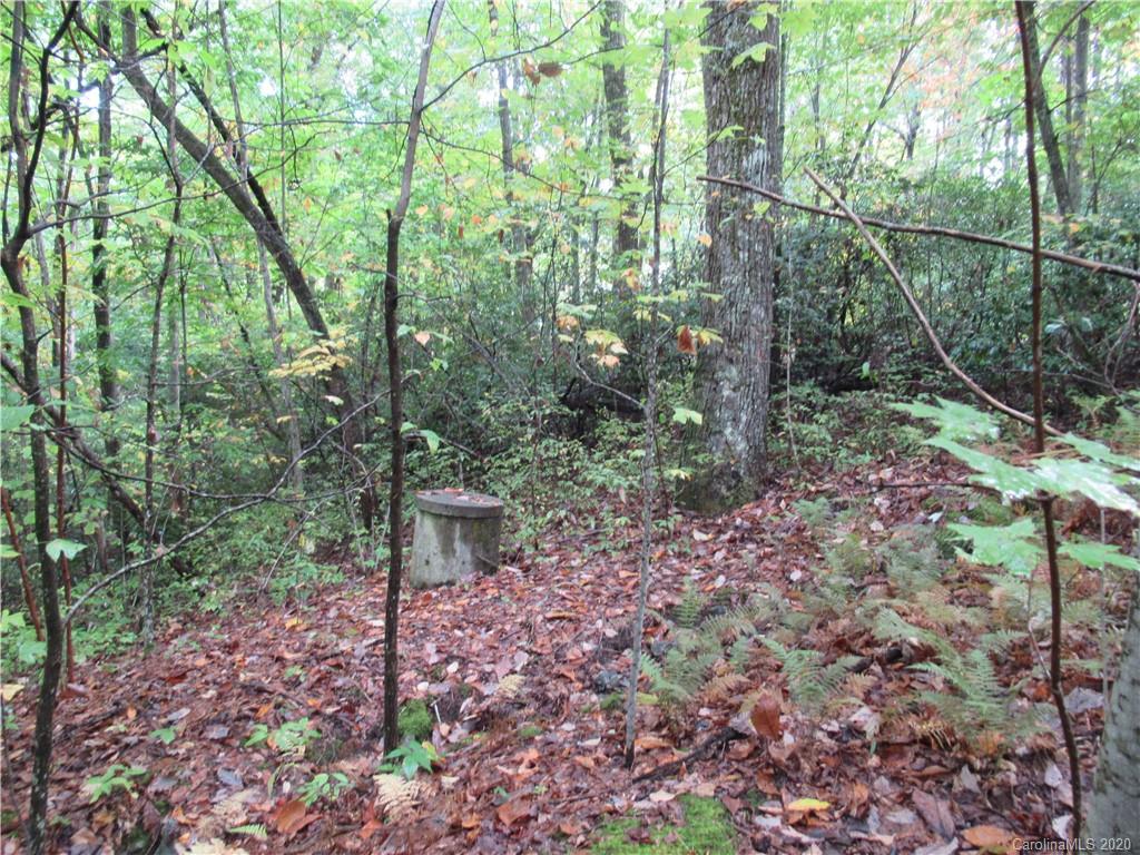Off Ben Nevis Road, Unit 15&16 Brevard, NC 28712 - Photo 7 of 18 Gallery Image 7