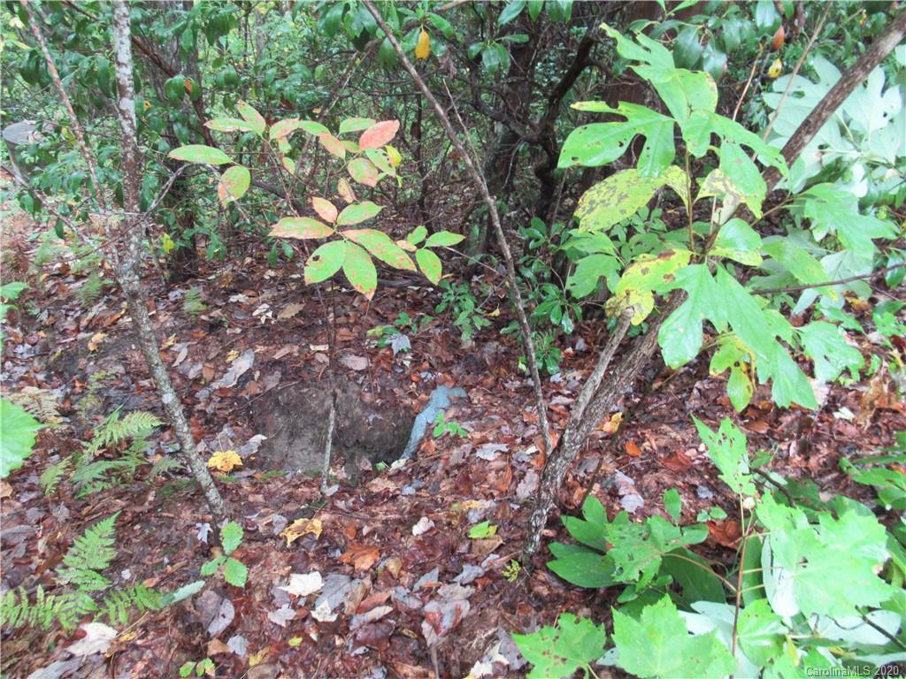 Off Ben Nevis Road, Unit 15&16 Brevard, NC 28712 - Photo 8 of 18 Gallery Image 8