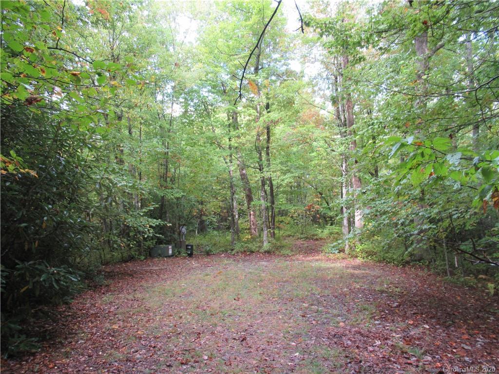Off Ben Nevis Road, Unit 15&16 Brevard, NC 28712 - Photo 9 of 18 Gallery Image 9