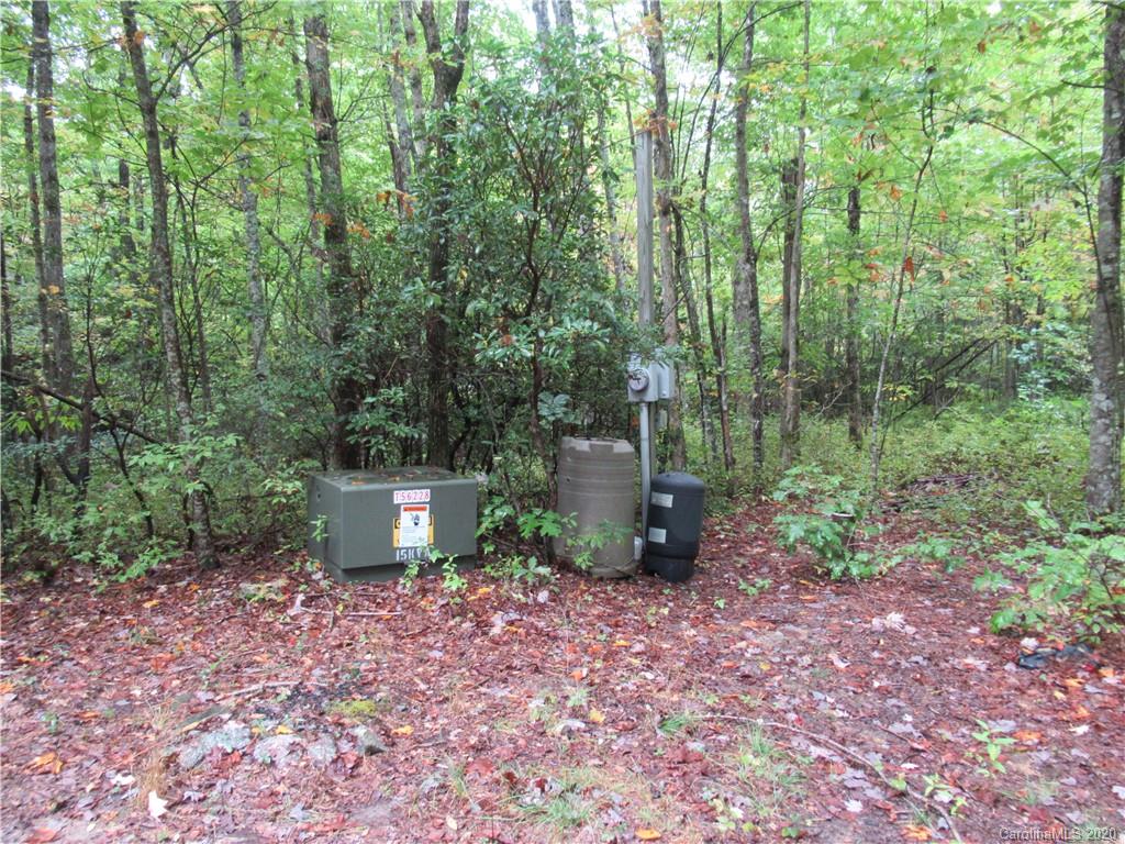 Off Ben Nevis Road, Unit 15&16 Brevard, NC 28712 - Photo 10 of 18 Gallery Image 10