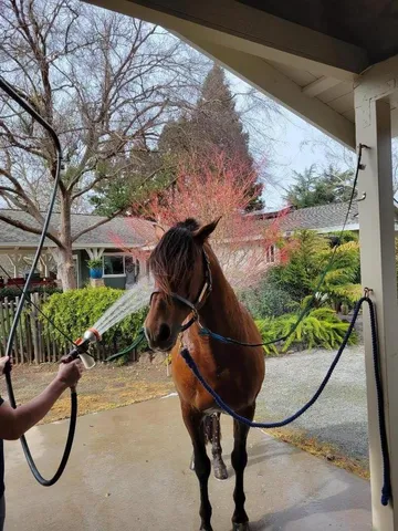 $2,688,000 | 12170 Calle Uvas, Gilroy, CA 95020