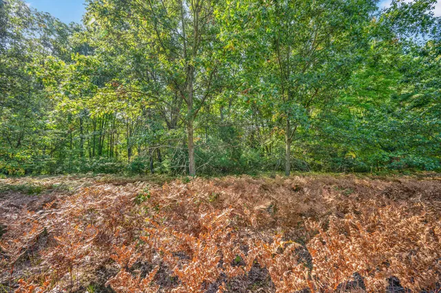 $28,000 | Lot 7 University Club Drive, Big Rapids, MI 49307