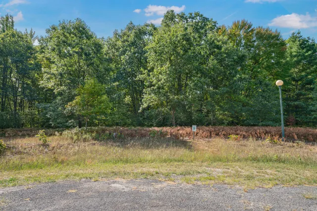 $28,000 | Lot 7 University Club Drive, Big Rapids, MI 49307