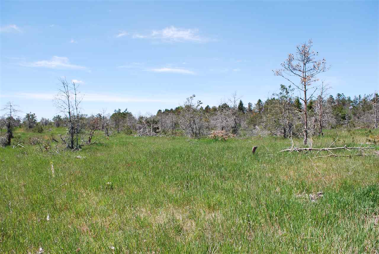 Parcel #2-5 Southeast Parcel Road Kalkaska, MI 49646 - Photo 4 of 10