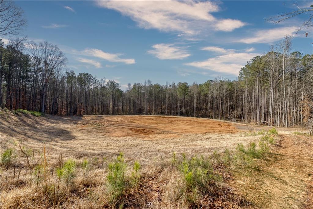 0 Avery Road Canton, GA 30115 - Photo 18 of 21