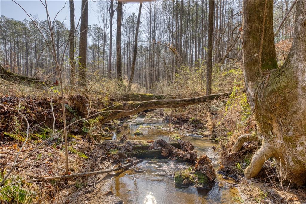 0 Avery Road Canton, GA 30115 - Photo 3 of 21