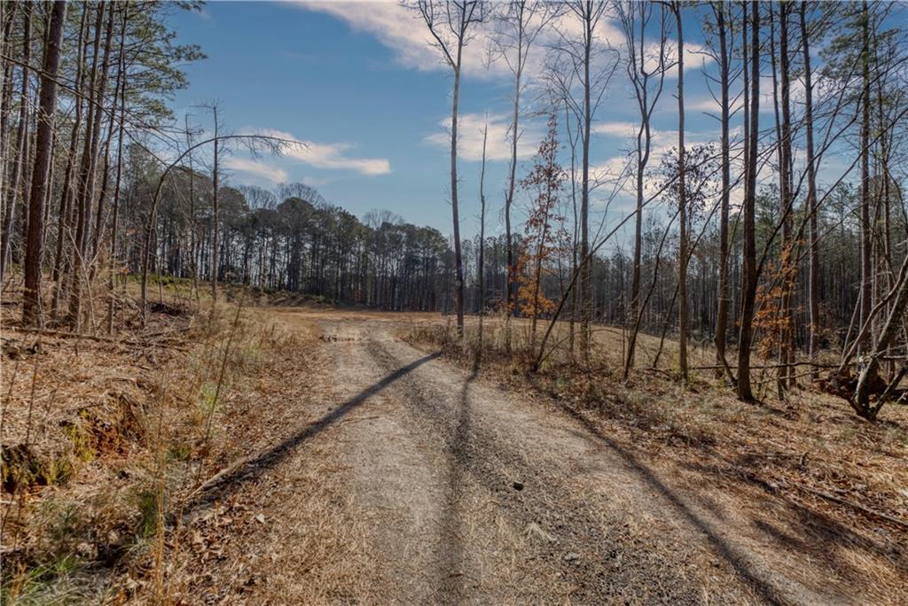 0 Avery Road Canton, GA 30115 - Photo 4 of 21