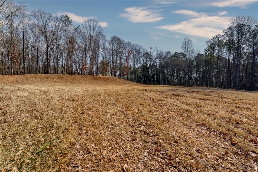 0 Avery Road Canton, GA 30115 - Photo 5 of 21