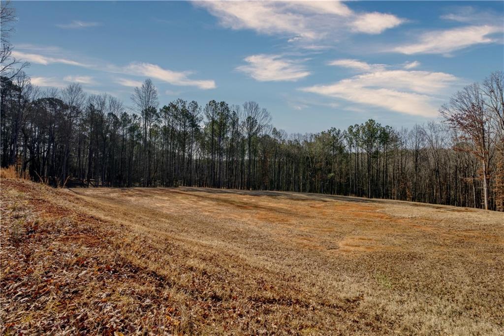 0 Avery Road Canton, GA 30115 - Photo 8 of 21