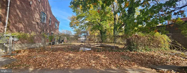 a view of a yard with plants and trees