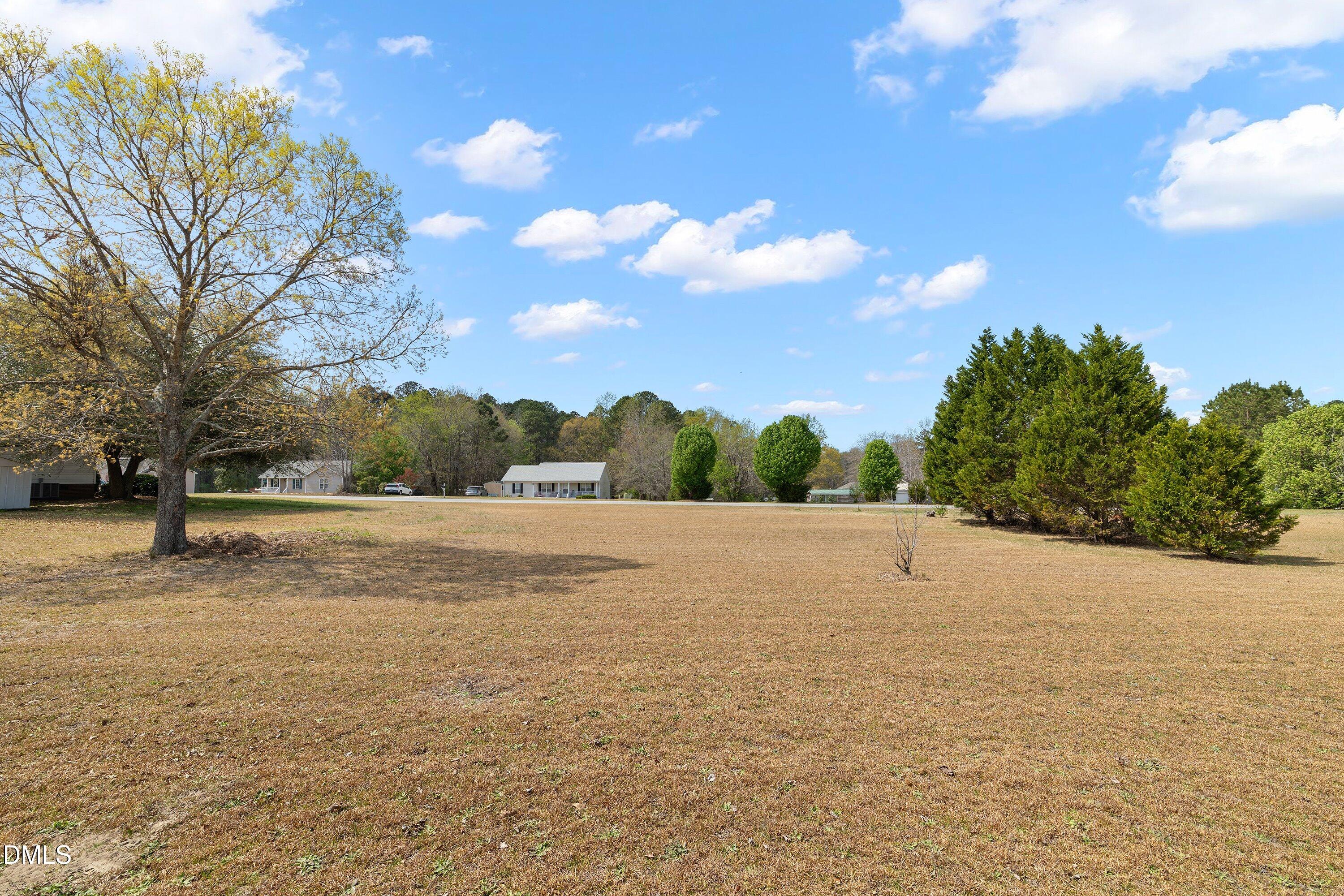 100 Trail Ridge Drive Benson, NC 27504 - Photo 41 of 45