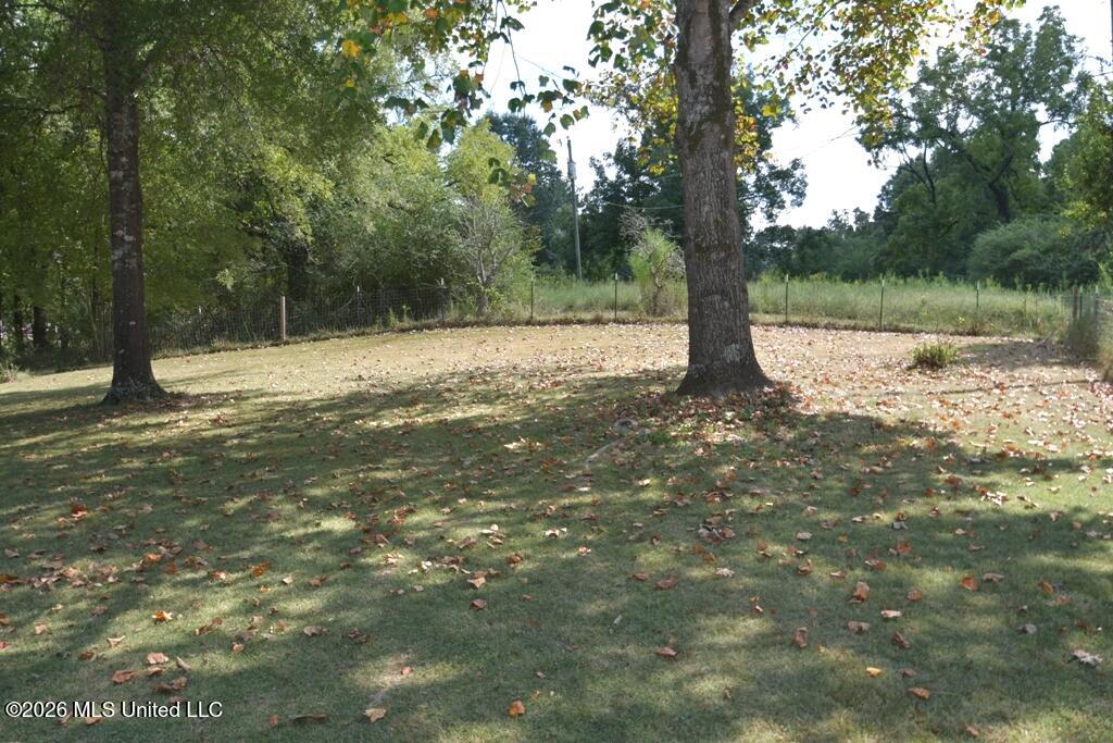 725 Shinault Road Byhalia, MS 38611 - Photo 30 of 39 Side yard