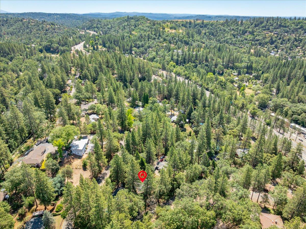 2939 Letitia Avenue Placerville, CA 95667 - Photo 51 of 59