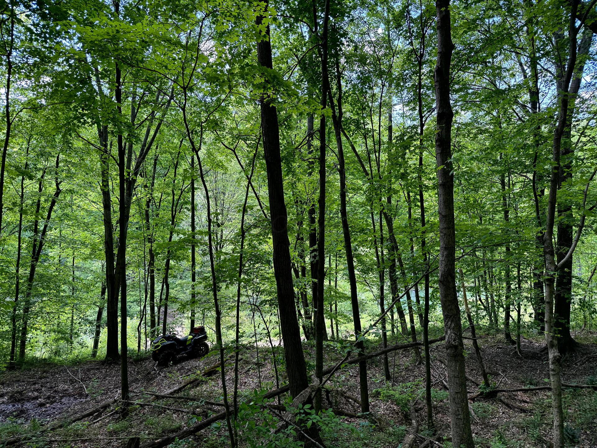 0 Little Kyger Road, Unit LITTLE KYGER TRACT 4) Cheshire, OH 45620 - Photo 14 of 28 CT-14