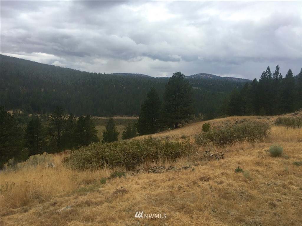 7 Ridge Top Drive Tonasket, WA 98855 - Photo 14 of 16 Gallery Image 14