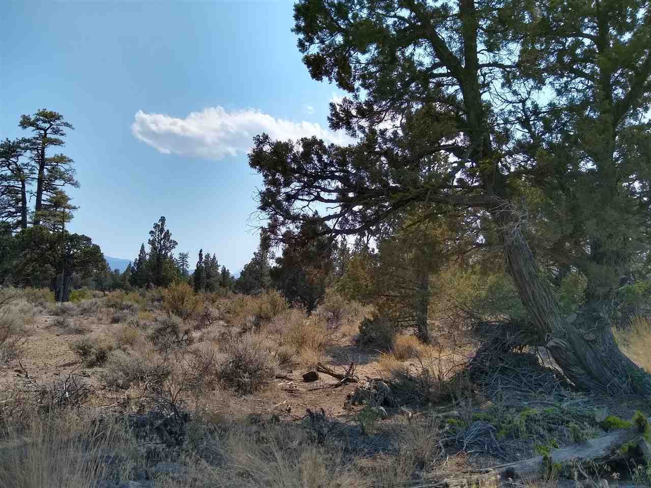 9 Heinzelman Road Montague, CA 96064 - Photo 2 of 3 Gallery Image 2