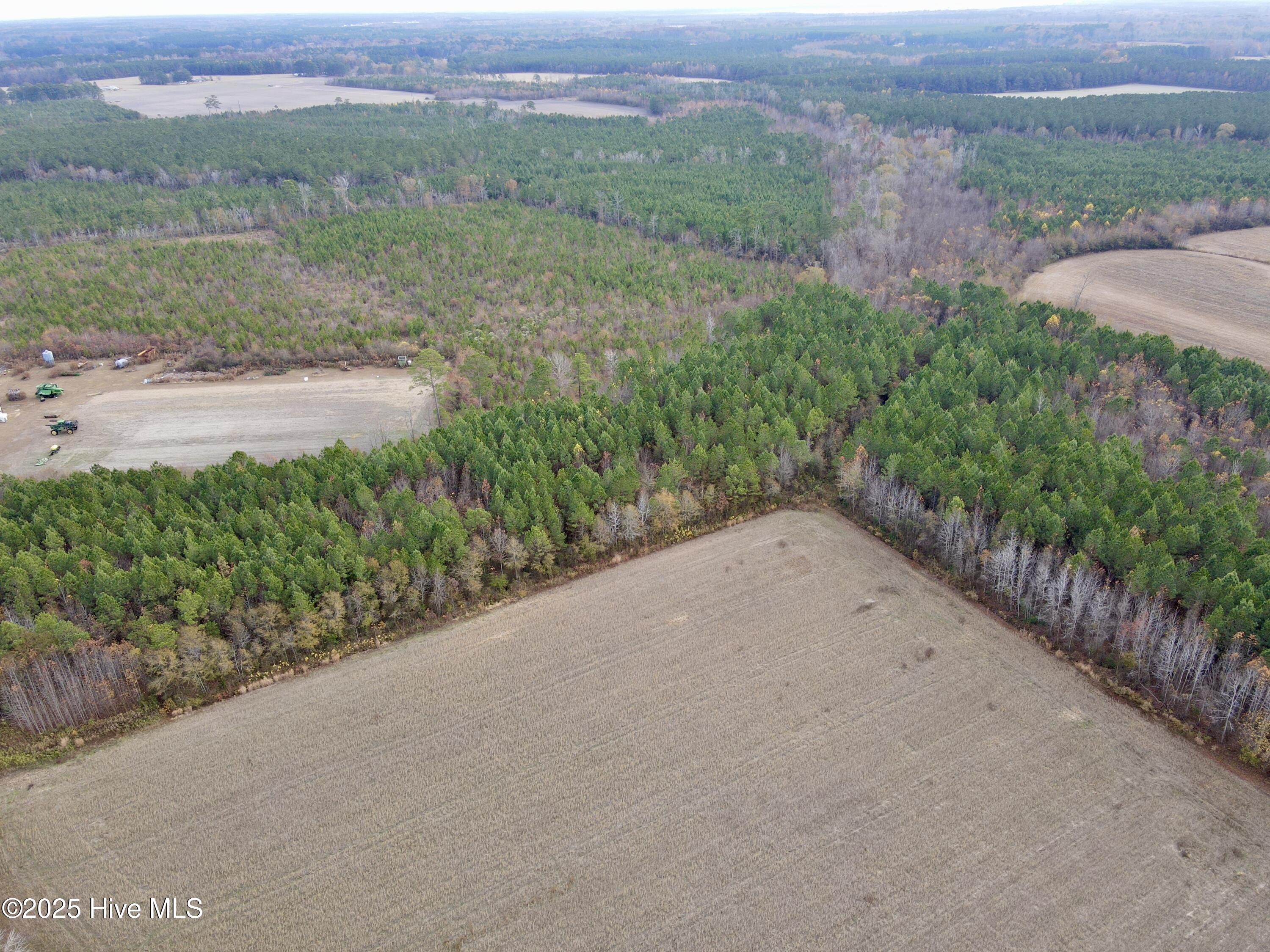 0 Osbourne Road Williamston, NC 27892 - Photo 3 of 6 Corner of tract