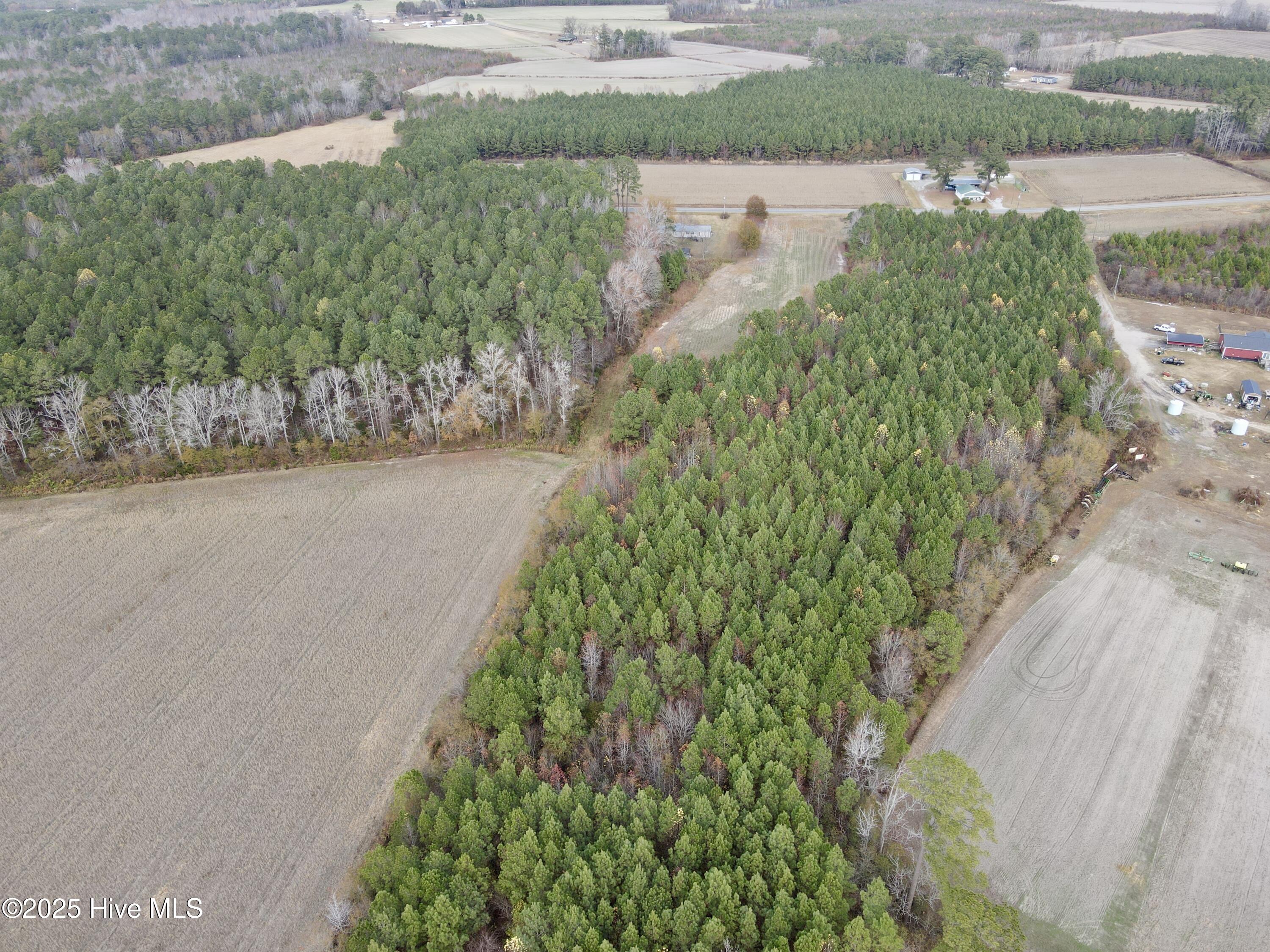 0 Osbourne Road Williamston, NC 27892 - Photo 4 of 6 Woodsland