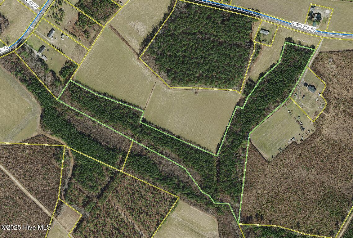 0 Osbourne Road Williamston, NC 27892 - Photo 5 of 6 Entire tract in Blue