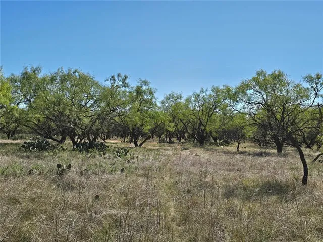 a view of a dry yard with trees in the background