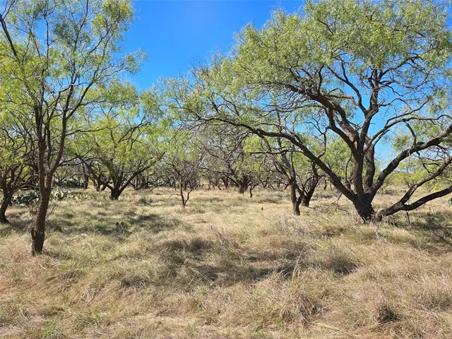 a view of a yard covered with snow in the front
