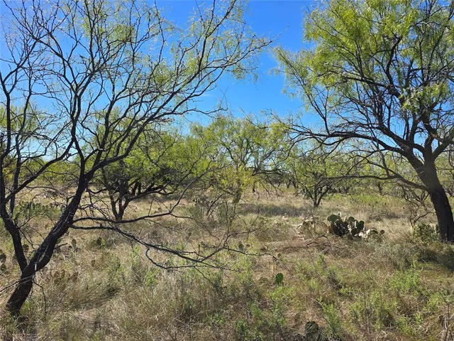 a view of a plants with large trees