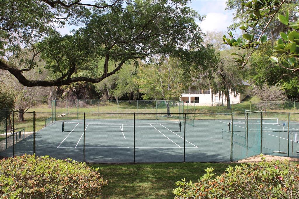 226 Crooked Tree Trail DeLand, FL 32724 - Photo 45 of 46