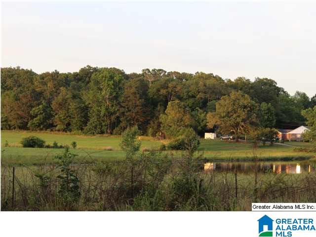 14745 Keenes Mill Road Cottondale, AL 35453 - Photo 16 of 16