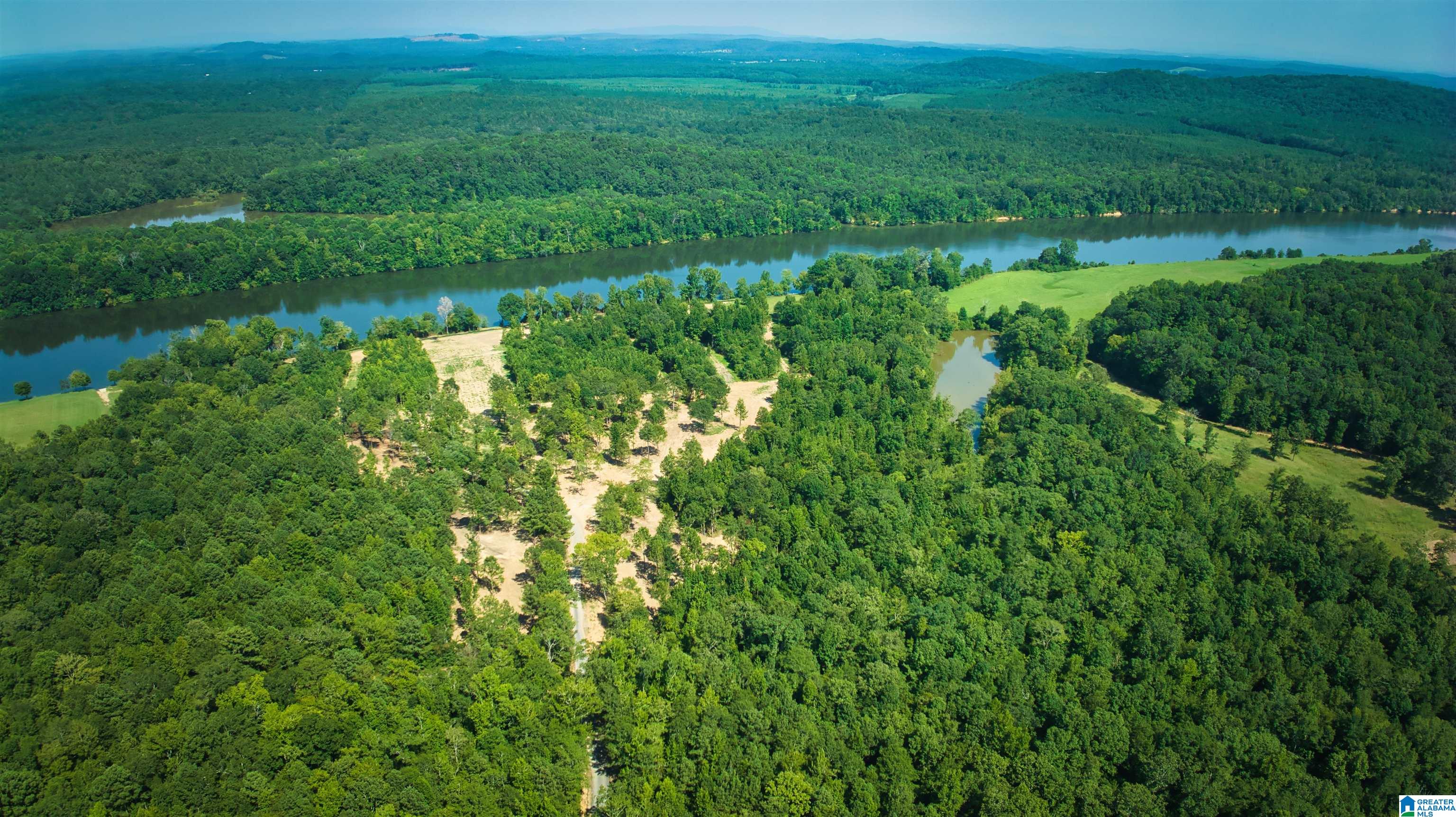 Lot 20 Wester Road, Unit LOT 20 Ragland, AL 35131 - Photo 29 of 68