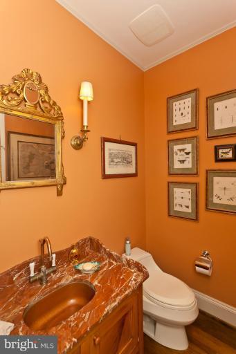 3 Devon Hill Road, Unit D3 Baltimore, MD 21210 - Photo 12 of 30 Powder room