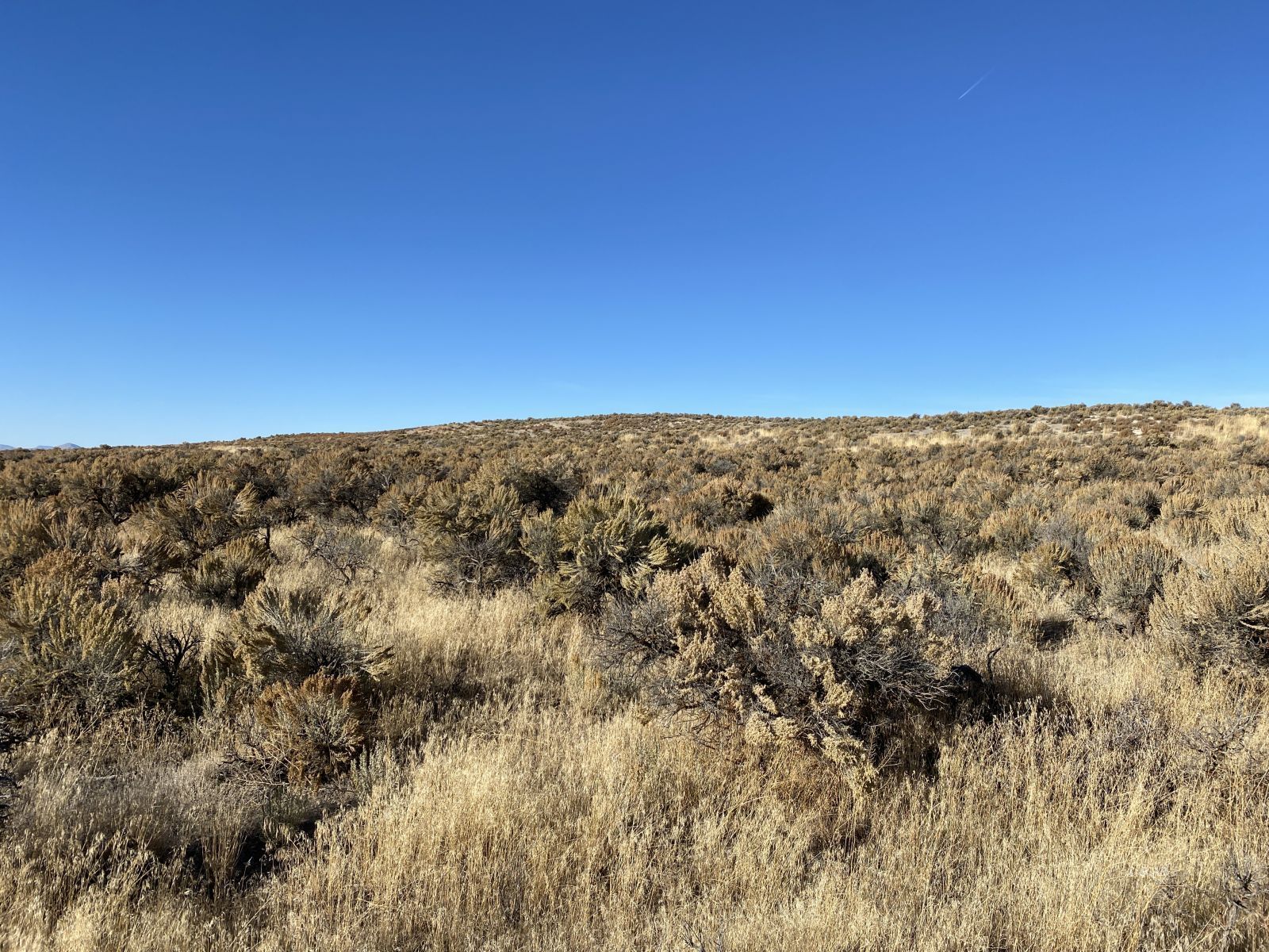 S11 T38n R58e Elko, NV 89801 - Photo 2 of 5