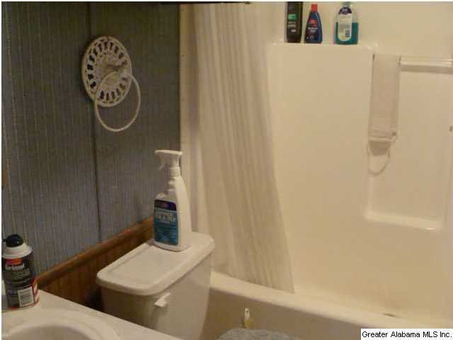 325 Big Springs Road Woodstock, AL 35188 - Photo 4 of 18