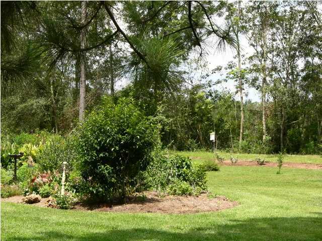 1423 Vinson Ray Road Baker, FL 32531 - Photo 13 of 16 a view of a park with a tree