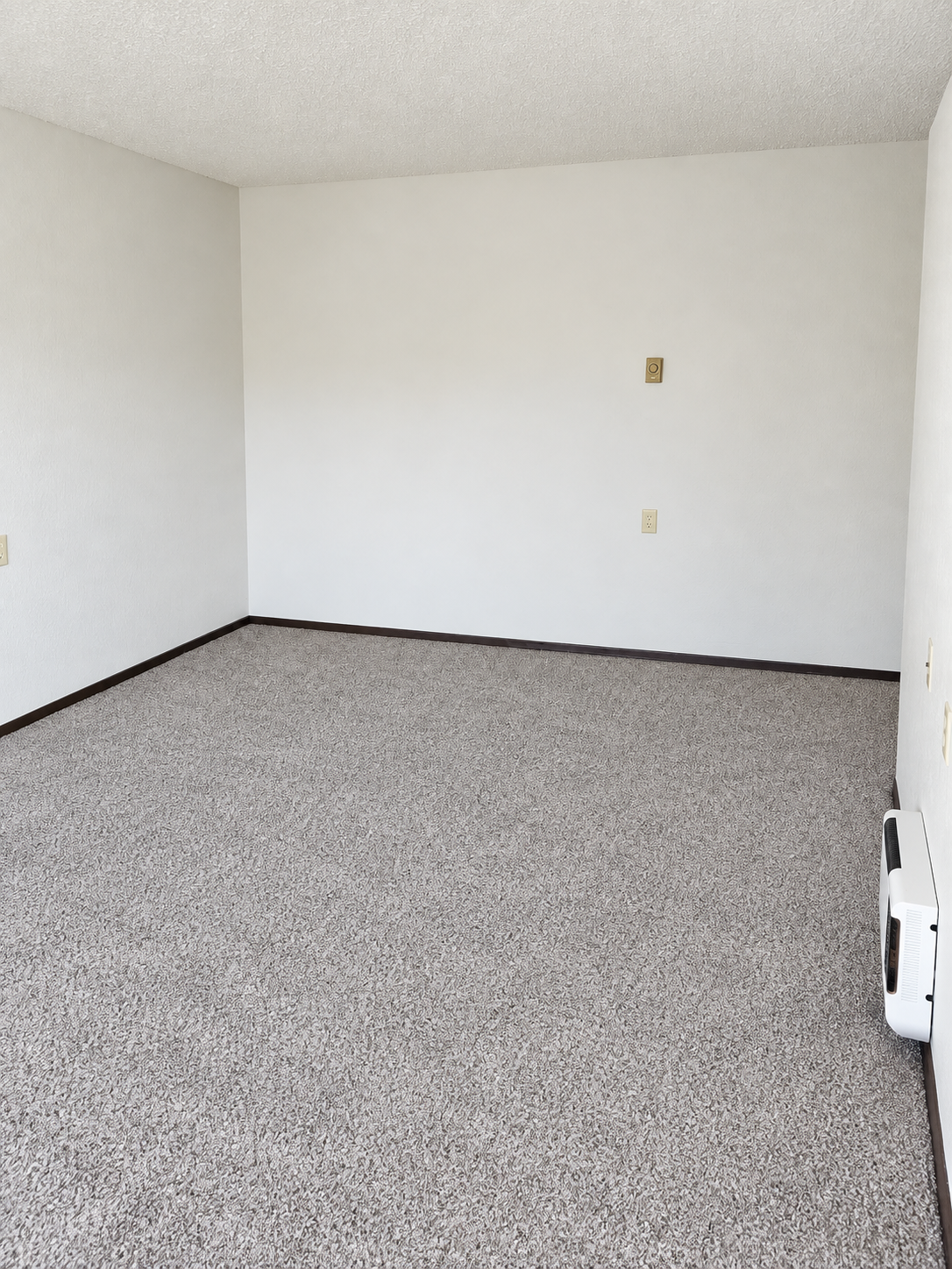 700 3rd Street, Unit 4 Barrett, MN 56311 - Photo 3 of 9 Gallery Image 3