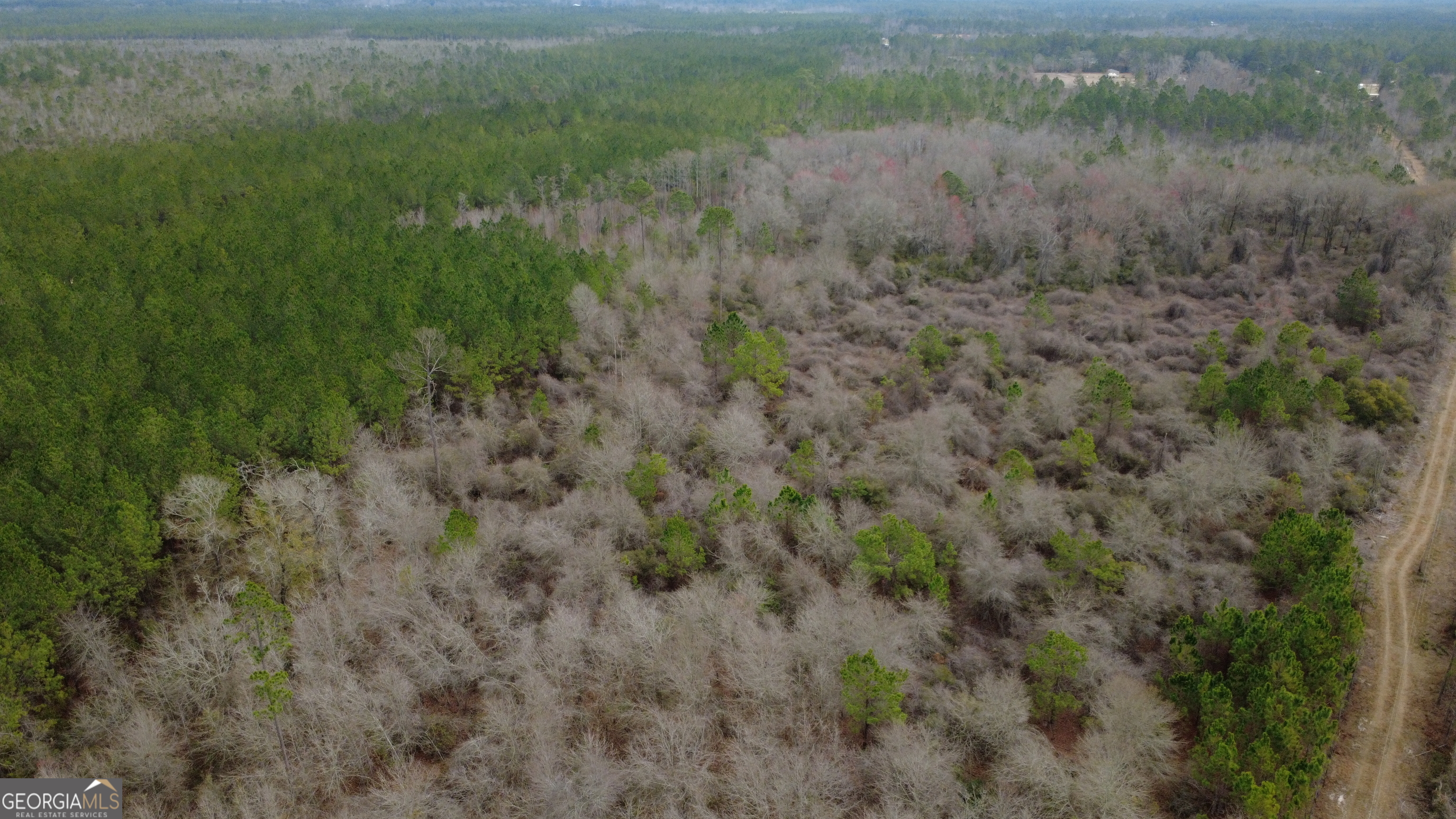 0 Whitaker Waycross, GA 31503 - Photo 2 of 9 a view of a field of grass and trees